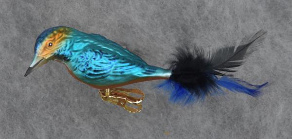 Eisvogel orange türkis